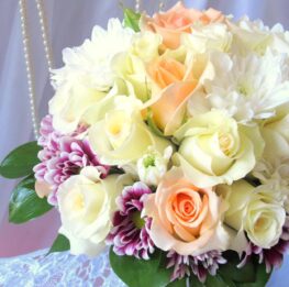 21248497_1453812234673472_8798257571281987196_o