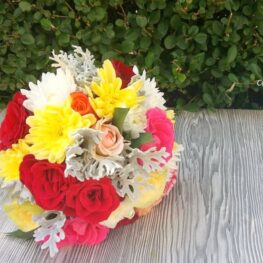 39919801_1837701929617832_3120926268967616512_o